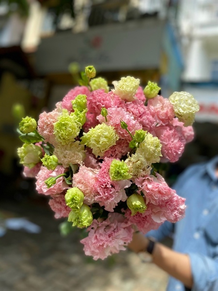 Lan Tường Hồng Quang