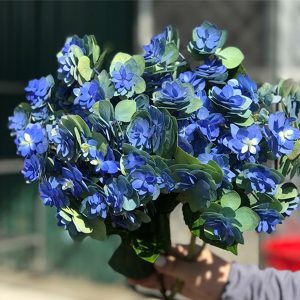 cẩm tú cầu kép xanh a