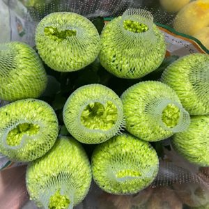 Cúc Lưới - Hasfarm - Xanh