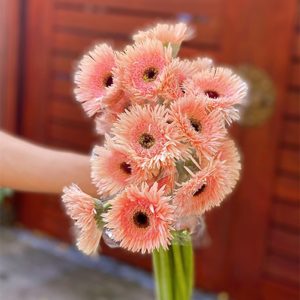 Đồng Tiền Kim - Hồng A