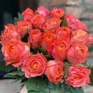 Hồng Cam Cà Rốt