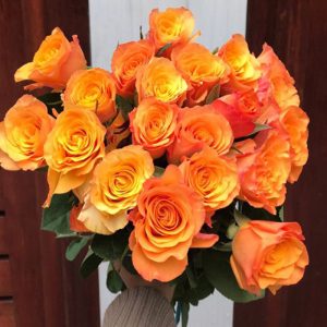 Hồng Cam Cát Vàng