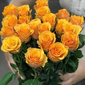 Hồng - Cam Cát Vàng A