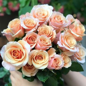 Hồng Cam Ngọc Trai