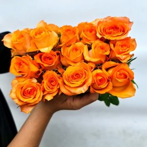 Hồng Cam Quốc Vương