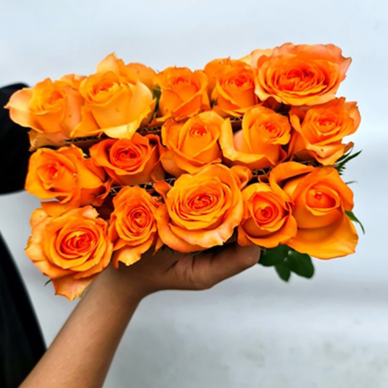 Hồng Cam Quốc Vương