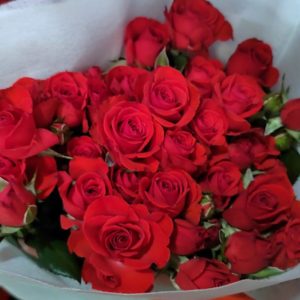 Hồng chùm - Đỏ Neon A