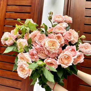 Hồng Chùm - Juliet Hồng A