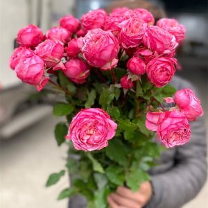 Hồng chùm - Tím rượu vang