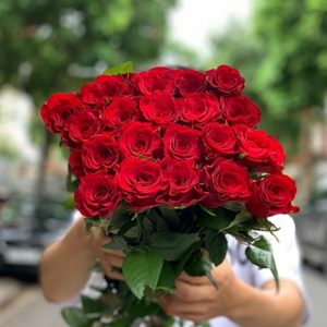 Hồng - Đỏ Cao Nguyên A