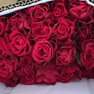 Hồng Đỏ Truyền Kỳ