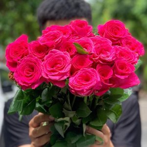 Hồng - Freud (pink floy) A