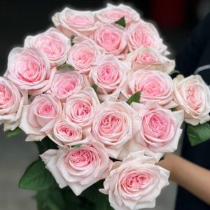 Hồng - Ohara Hồng A