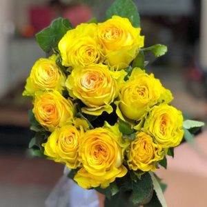 Hồng - Ohara Vàng A