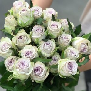 Hồng - Tím Khói A