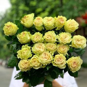 Hồng - Xanh Lưu Ly A