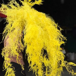 Kim Thủy Tùng - Vàng