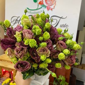 Lan Tường - Cà Phê A