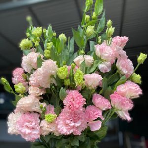 Lan Tường - Hồng Quang