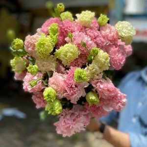 Lan Tường - Hồng Quang A