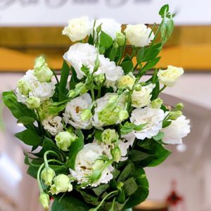 Lan Tường - Hồng Xoăn