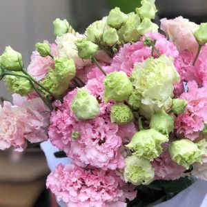 Lan Tường - Hồng Xoăn A