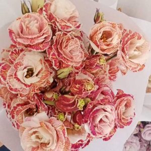 Lan Tường - Nhuộm A