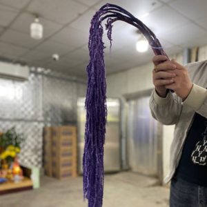 Rền Rủ - Tím Khô A