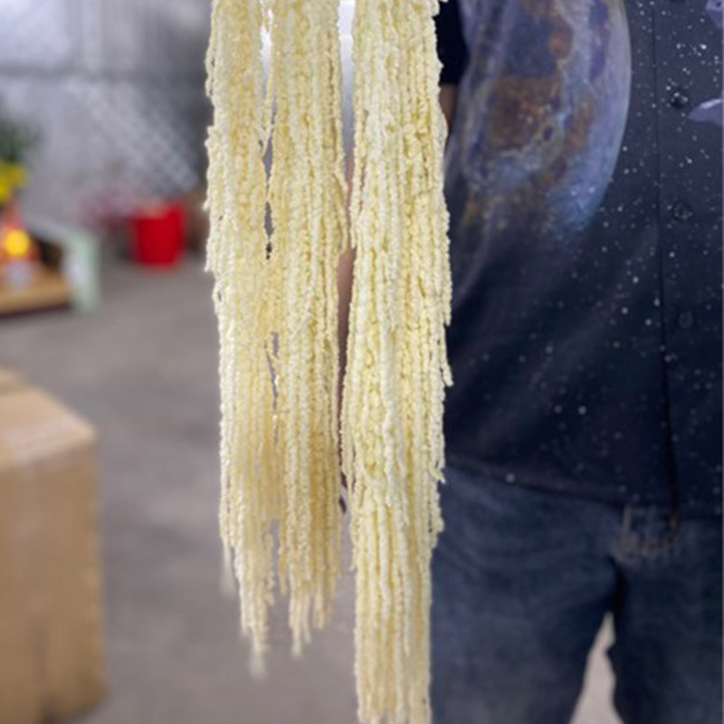 Rền Rủ - Trắng Khô A