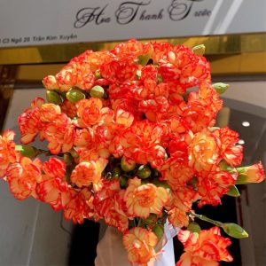 Phăng Chùm - Côn Minh - Cam A