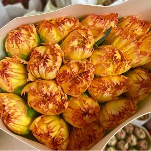 Phăng Đơn - Côn Minh - Cam A