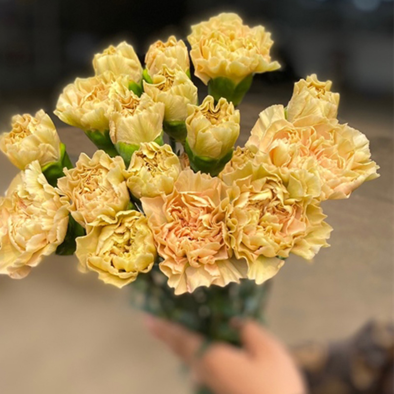 Phăng Đơn - Côn Minh - Moka A