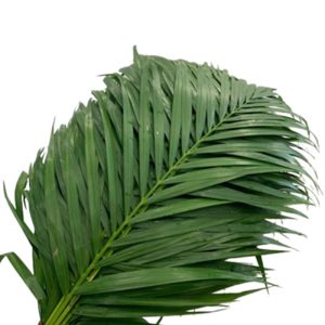 Cau Nhỏ - Đà Lạt