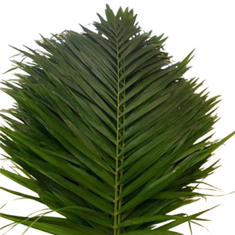 Cau Trung - Đà Lạt